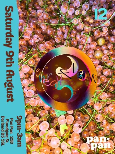 Poster for the event. Golden gooseberries with energy flow logo. Tuqouise strip down the side with the party on it.